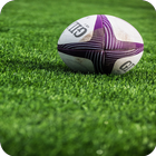 Rugby Wallpapers Free Download 아이콘