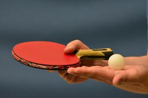 Table Tennis Wallpapers HD screenshot 3