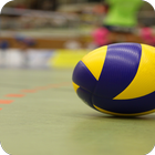 Volleyball Wallpapers Phone أيقونة