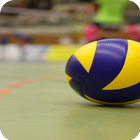 Volleyball Wallpapers Phone আইকন