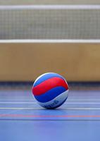 Volleyball Wallpapers Phone 截图 1