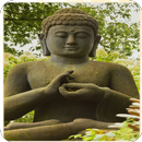 Yoga Wallpapers for Phone APK
