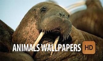 Animals Wallpapers HD Free poster