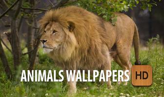 Animals Wallpapers HD Free Ekran Görüntüsü 1