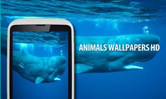 Animals Wallpapers HD Free syot layar 2