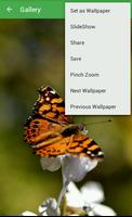 Butterfly Wallpapers captura de pantalla 3