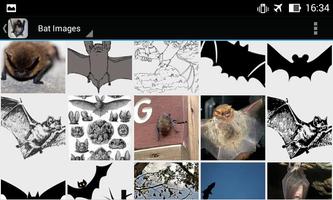 Bat Apps capture d'écran 2