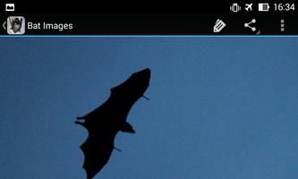 Bat Apps capture d'écran 3