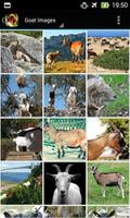 Apps for Goat Lovers постер