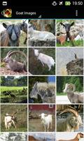 Apps for Goat Lovers скриншот 1
