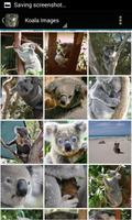 KoalaBG: Koala Wallpapers capture d'écran 1