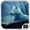 Wolf Wallpapers