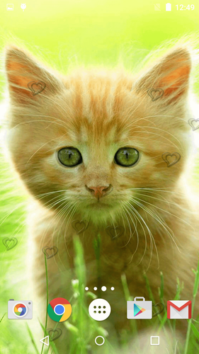 無料で かわいい子猫ライブ壁紙 アプリの最新版 Apk2 5をダウンロードー Android用 Apkshortname Apk の最新バージョンをダウンロード Apkfab Com Jp