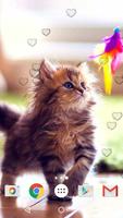 Cute Kittens Live Wallpaper screenshot 3