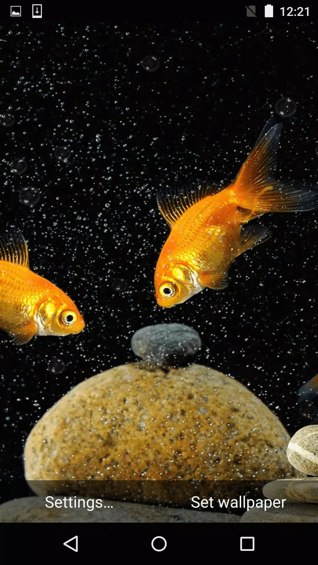Aquarium Live Wallpaper APK for Android Download Aquarium Live Wallpaper APK for Android Download