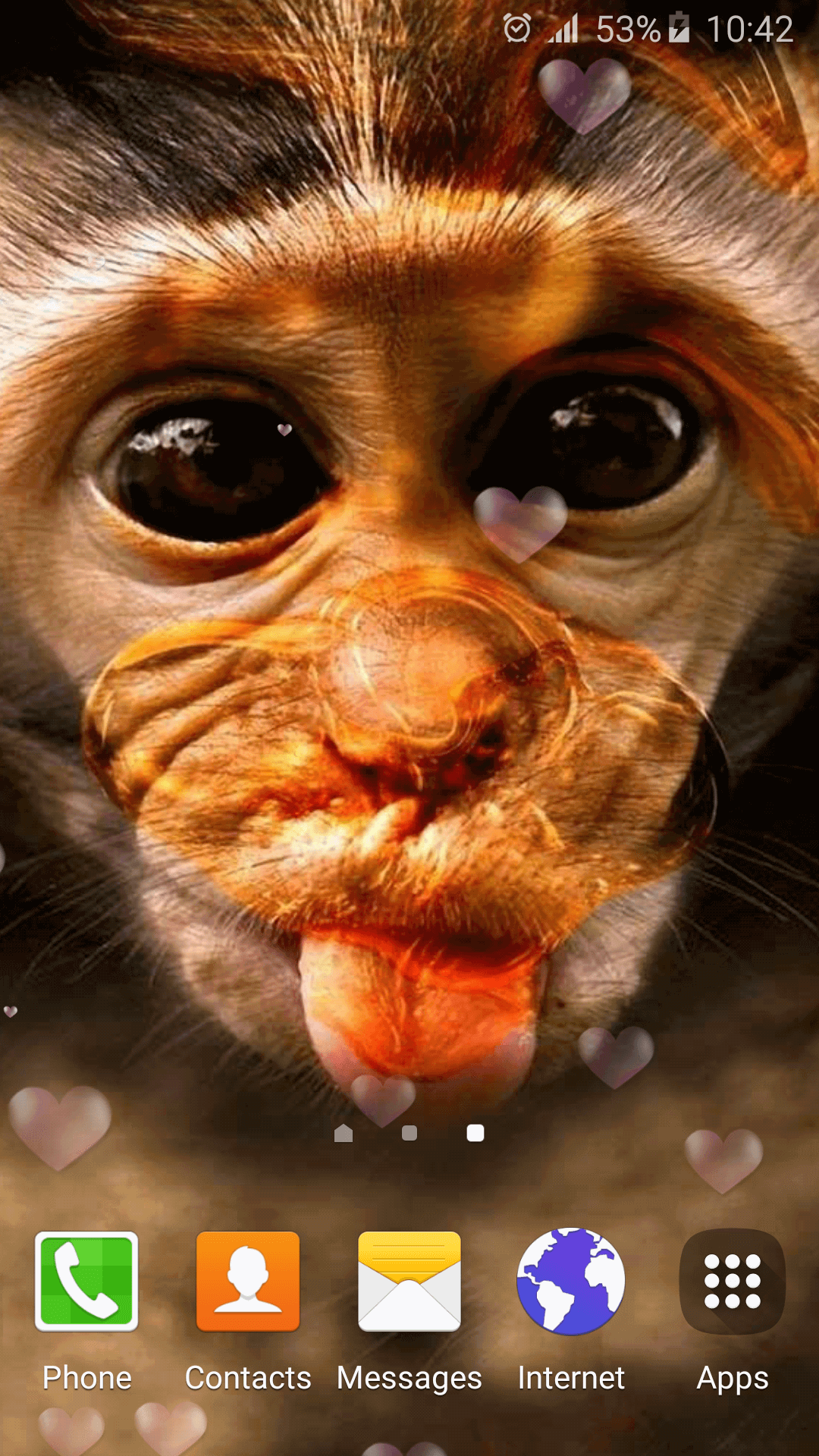 Funny Monkey Live Wallpaper APK  for Android – Download Funny Monkey  Live Wallpaper APK Latest Version from 