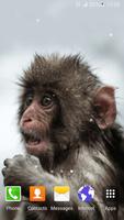 Hình Nền Sống Vui Khỉ 3D ảnh chụp màn hình 1