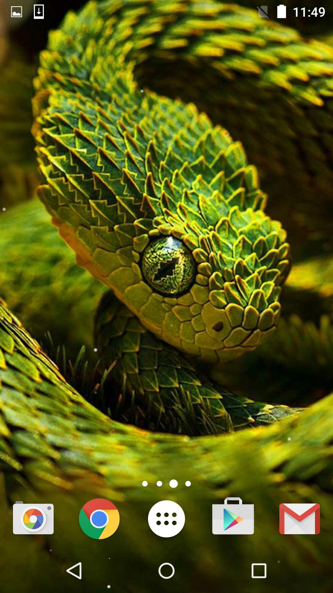 Snake Live Wallpaper HD APK for Android Download