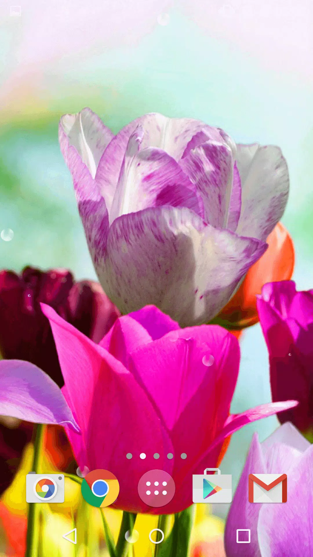 Android向けの春 花 背景 背景 素材 無料壁紙 無料壁紙スマホ Apkをダウンロードしましょう
