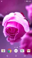 Rose Live Wallpaper স্ক্রিনশট 2