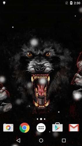 خلفيات ذئاب Hd For Android Apk Download
