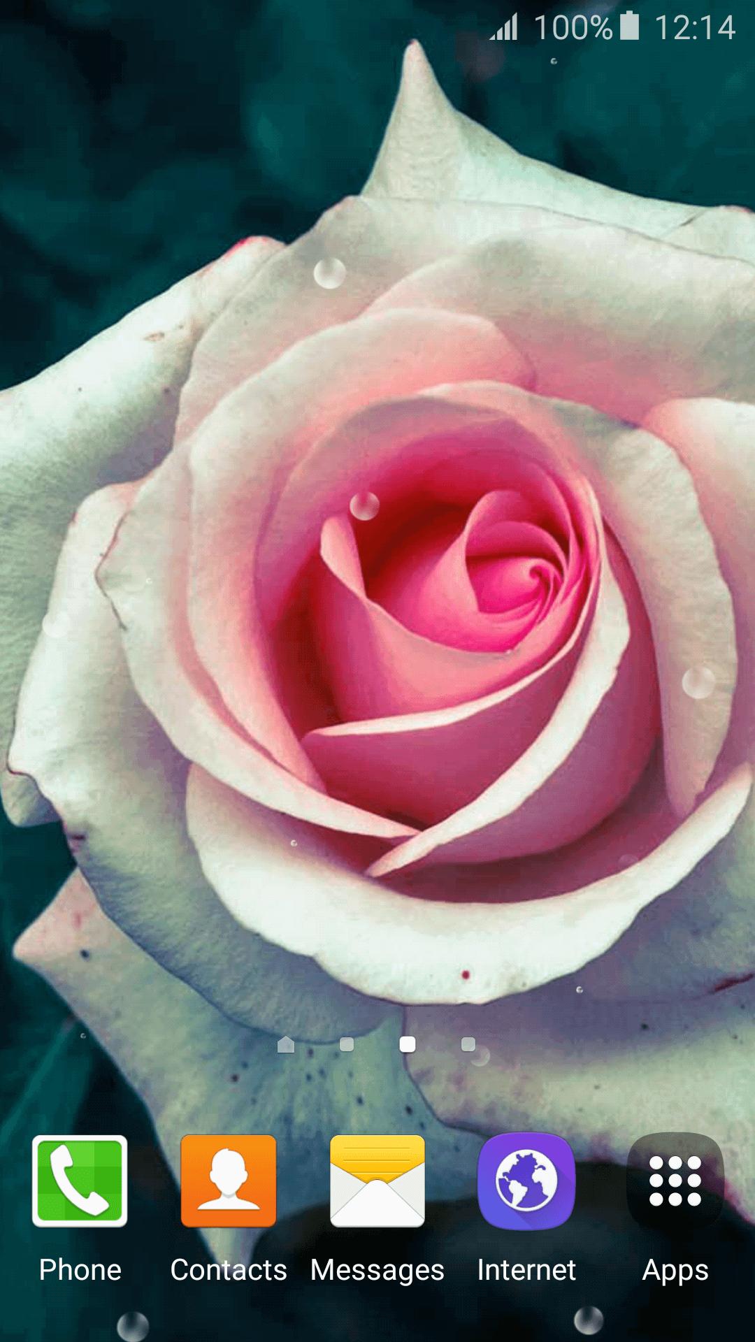 3D Rose Live Wallpaper APK for Android Download 3D Rose Live Wallpaper APK for Android Download