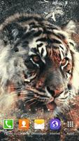 Tiger Live Wallpaper poster