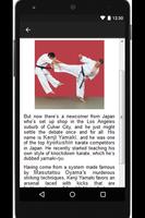 Karate Fight Training Lessons capture d'écran 2