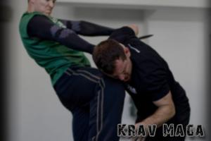 Krav Maga Training تصوير الشاشة 1