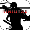 ”Ninjutsu Training