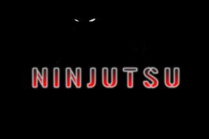Ninjutsu Training poster