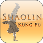 Shaolin Kung Fu Training আইকন