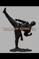 Shaolin Kung Fu Training تصوير الشاشة 1