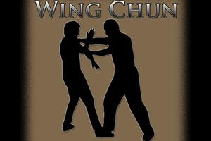 Wing Chun Training Affiche