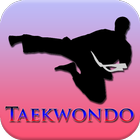 Taekwondo Training Program ไอคอน