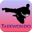 Taekwondo Training Program