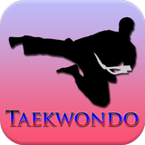 Taekwondo Training Program-icoon