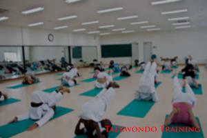Taekwondo Training Program Affiche