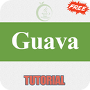 Free Guava Tutorial APK