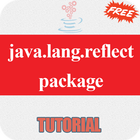Free java.lang.reflect package tutorial icône