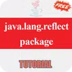 Free java.lang.reflect package tutorial