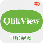 Learn QlikView ikon