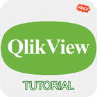 Learn QlikView أيقونة