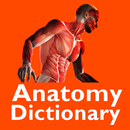 Anatomy Dictionary APK