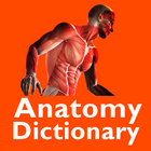 Anatomy Dictionary иконка