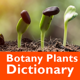 Botany Plants Dictionary icône