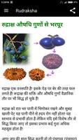 Rudraksha syot layar 2