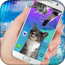 猫走在屏幕上可爱的笑话 APK