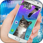 Cat Walks on Screen Смазливая шутка иконка