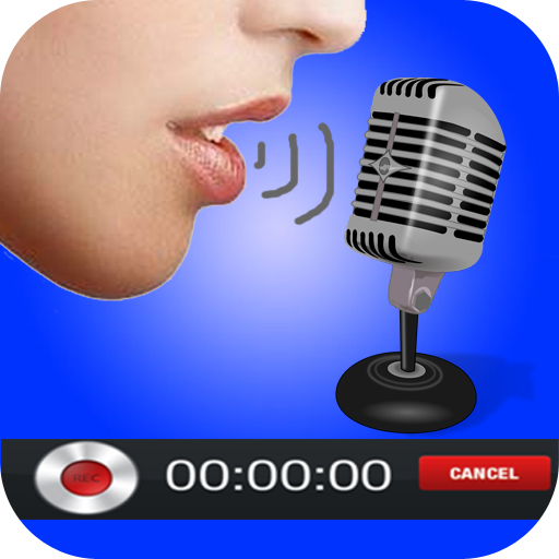 Voice and Sound Recorder